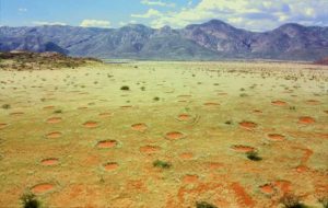 Lingkaran Peri/Fairy Circle di Namibia